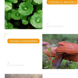 10 PIECE Bioaqua Rice Raw Pulp Sleep Mask: Travel-Friendly, No-Alcohol, Low Allergenic, Suitable for All Skin Types